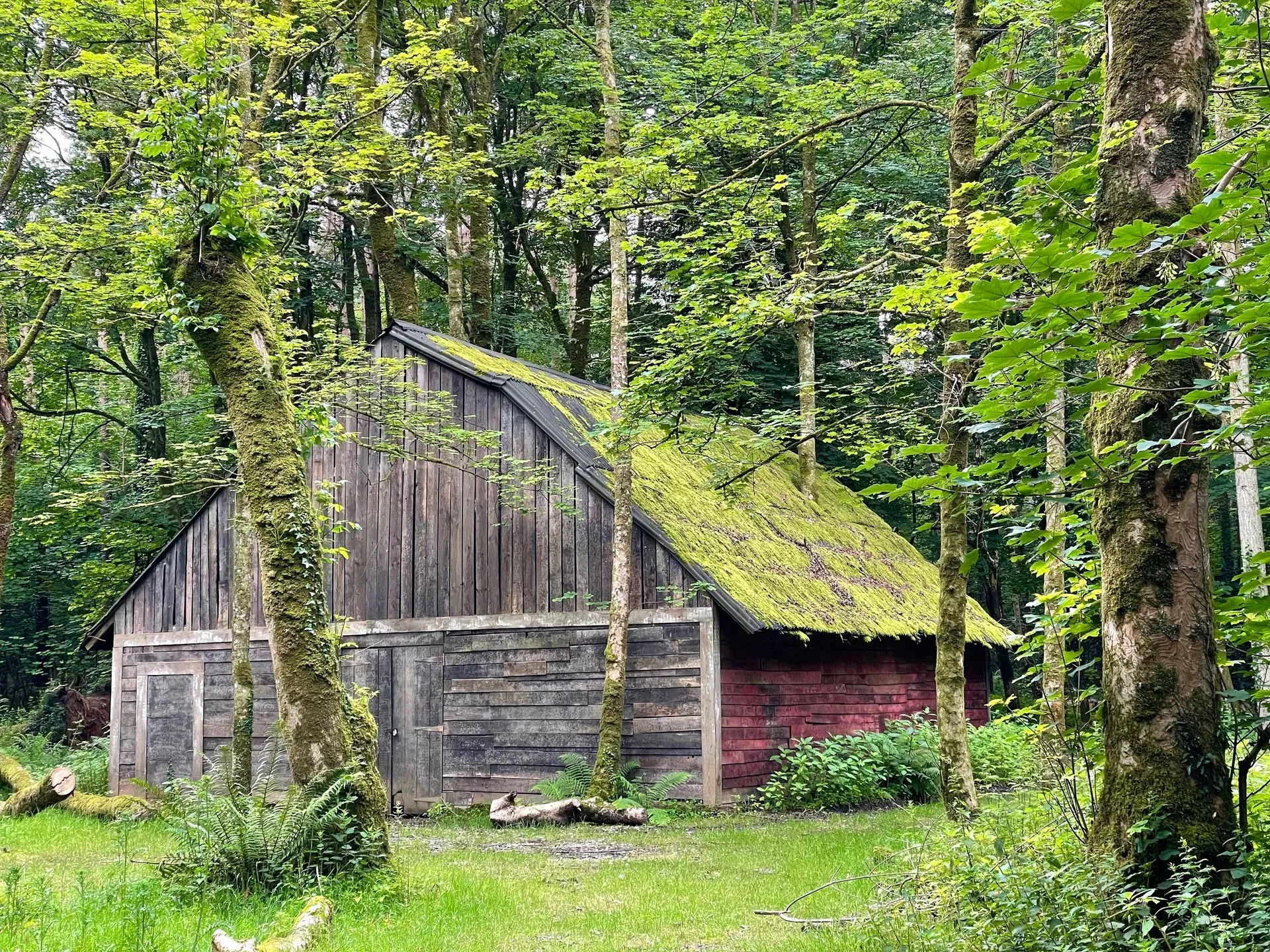 The barn at Candleston Woods, available for private hire