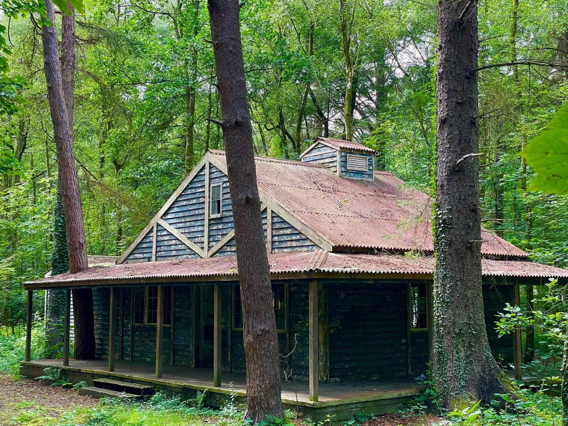 Woodland cabin at Merthyr Mawr Estate