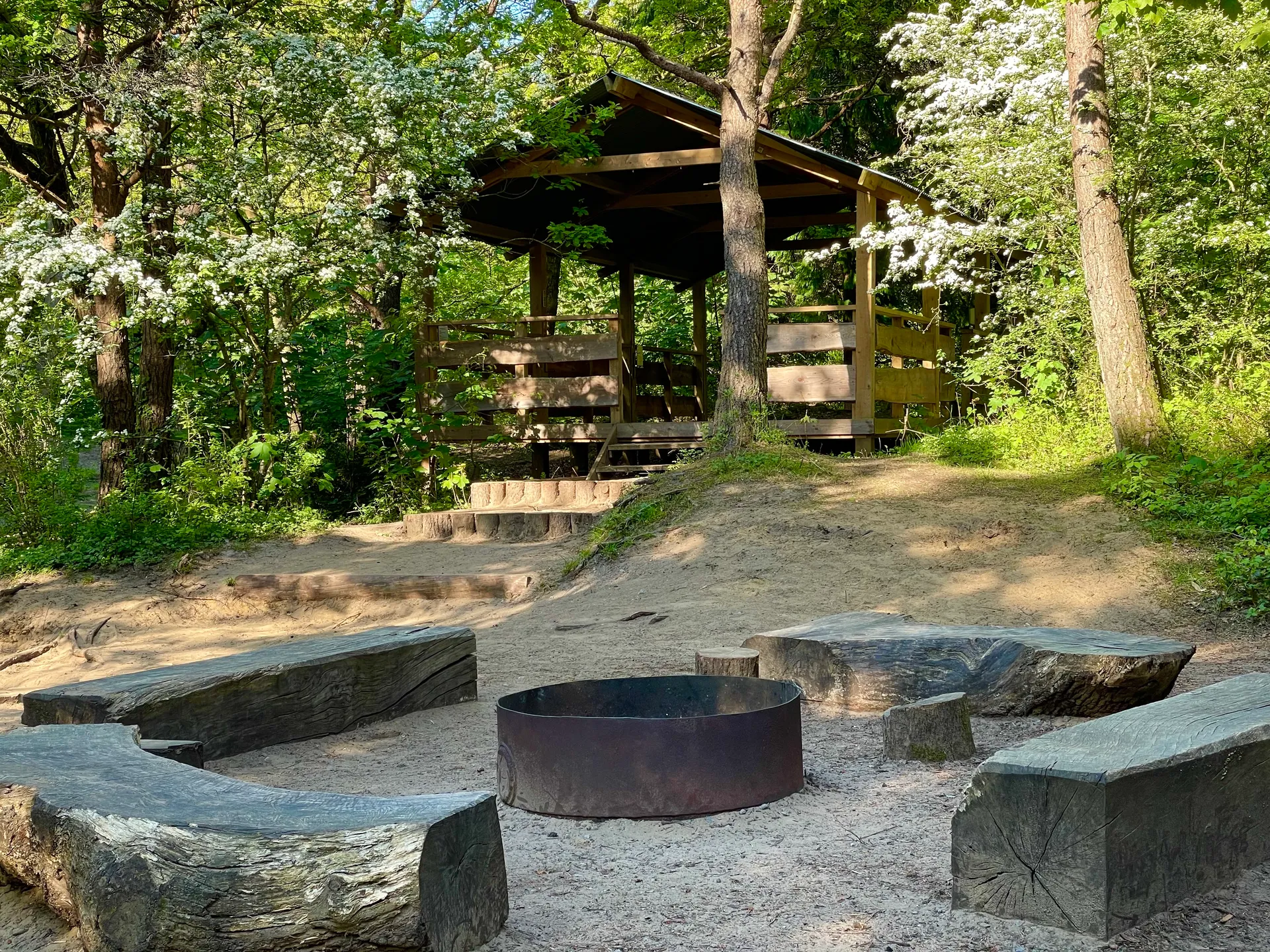 Campfire burning in the woodland campsite at dusk