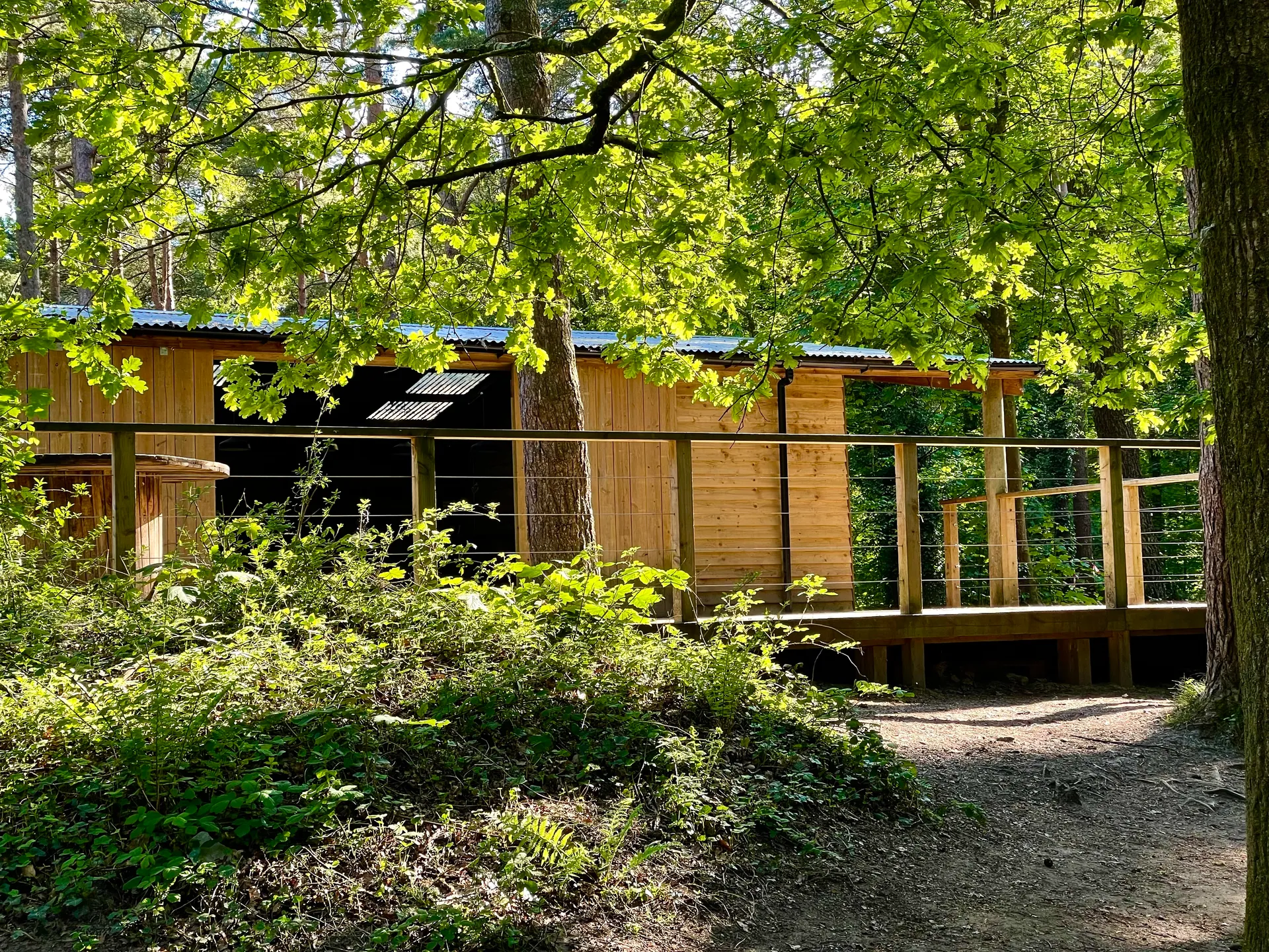 Forest barn venue at Candleston Woods