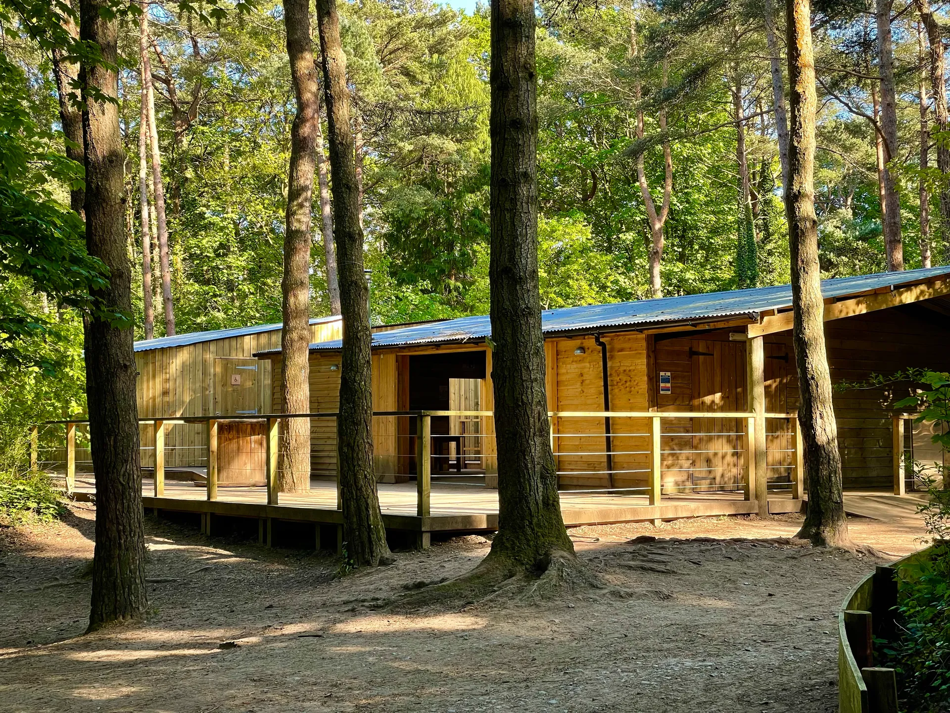 Interior of the forest barn