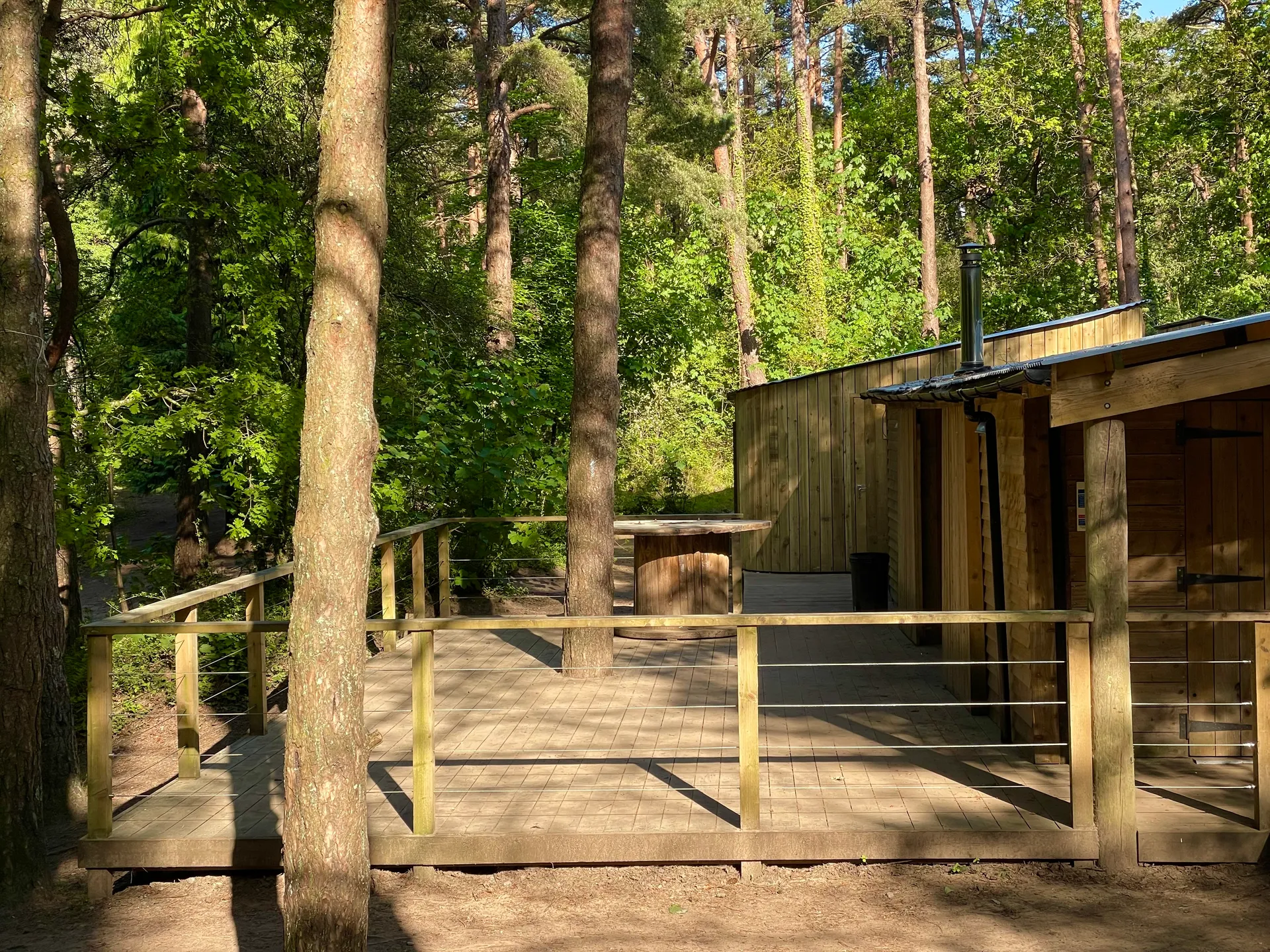 Forest barn decking overlooking the woodland