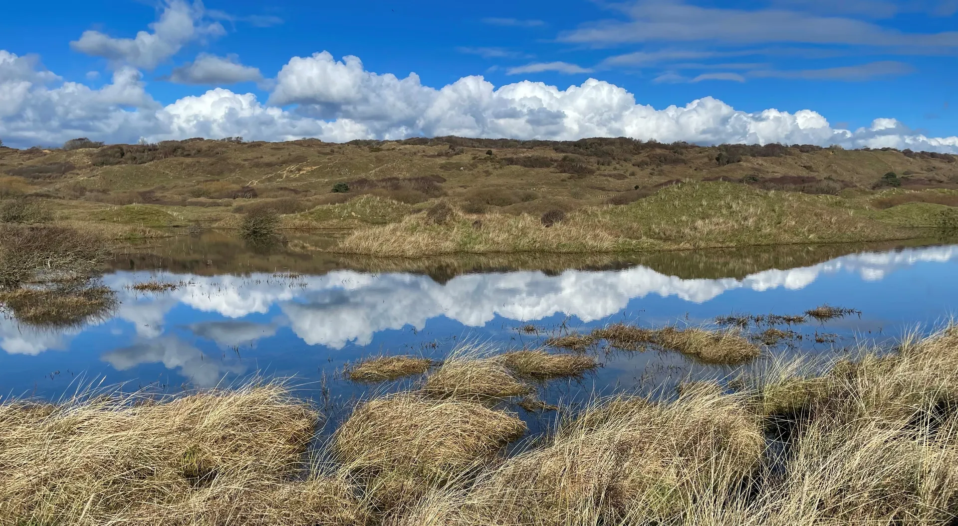 Dune slack wetland in the Warren