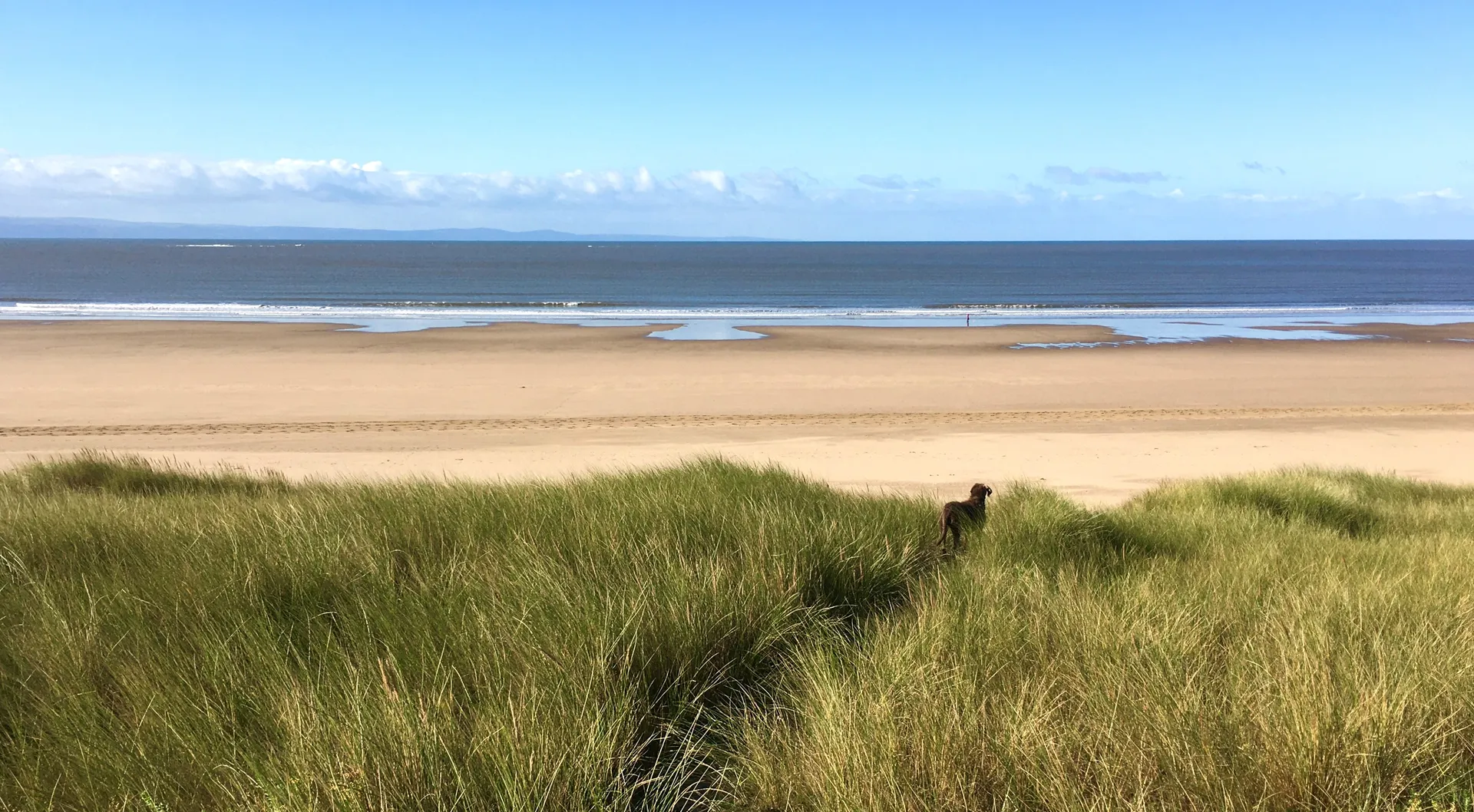 Sandy beach at the foot of the Merthyr Mawr dunes