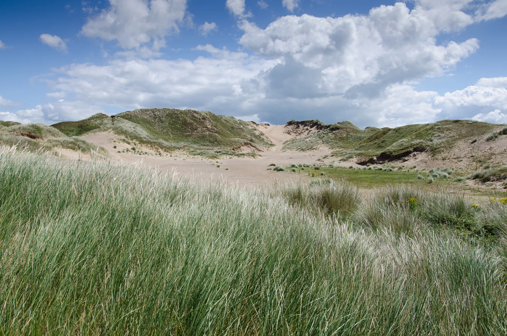 Sweeping sand dunes at Merthyr Mawr