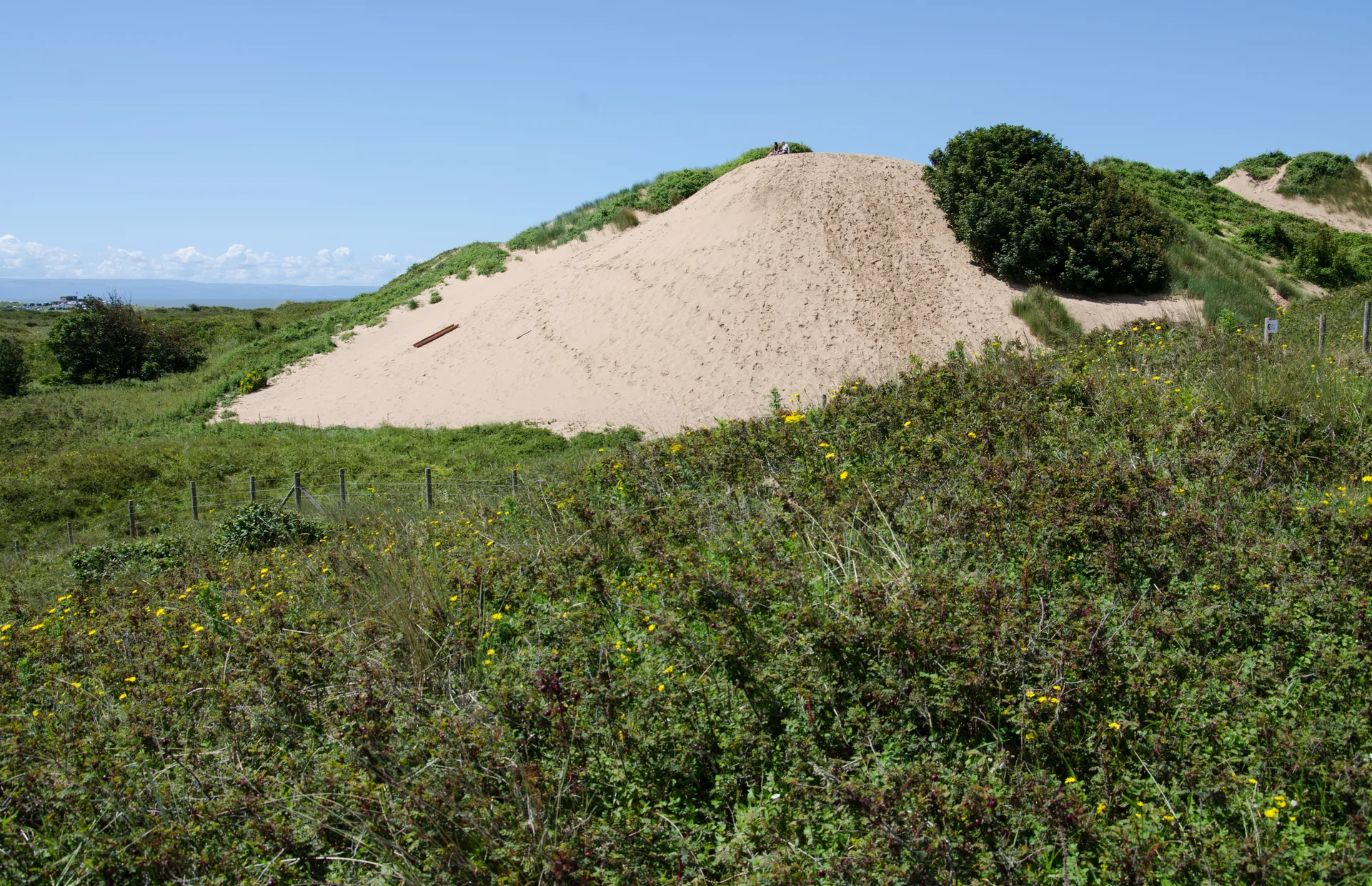 Vast sand dunes used as a film location