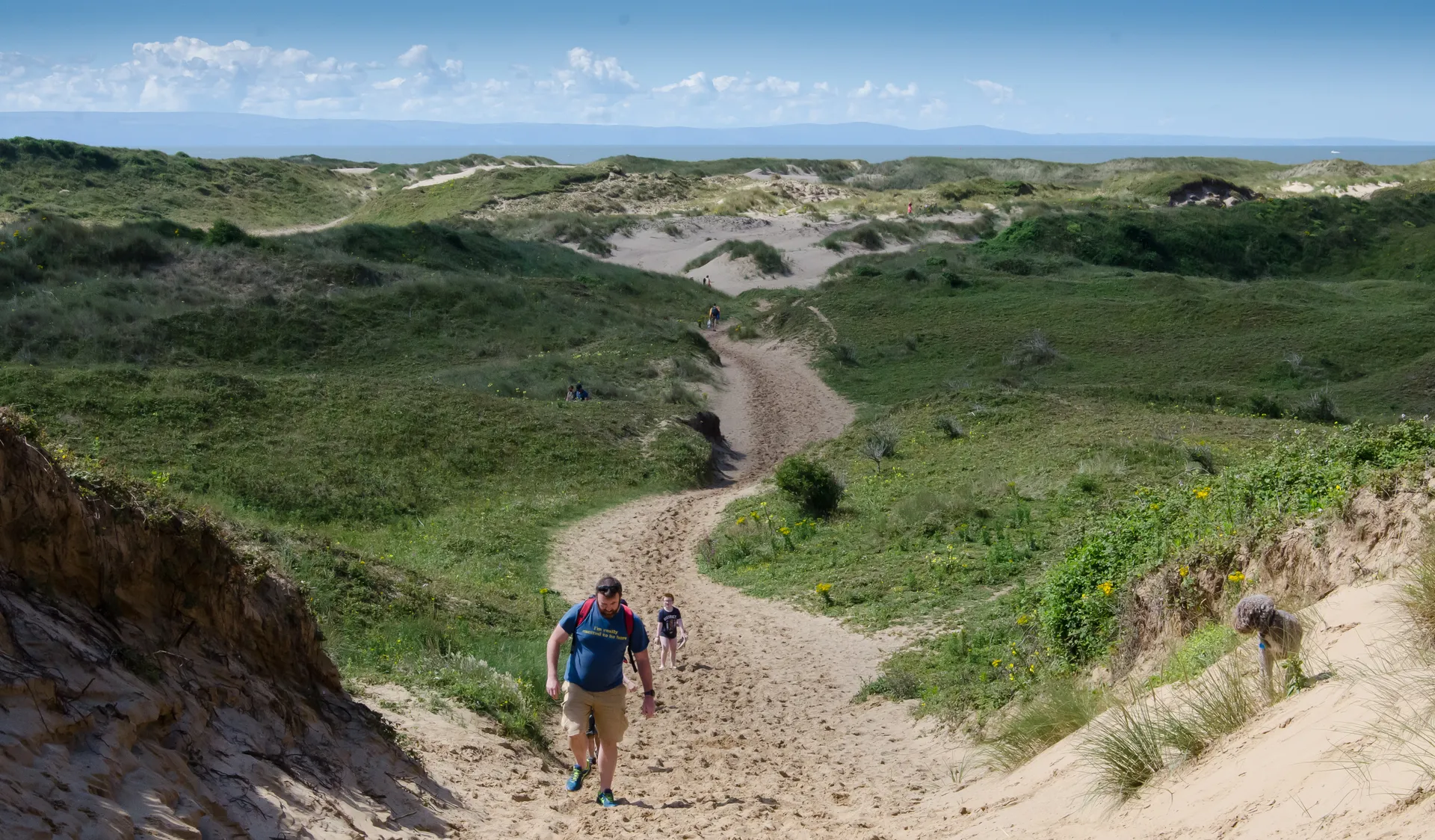 Mobile Sand Dunes