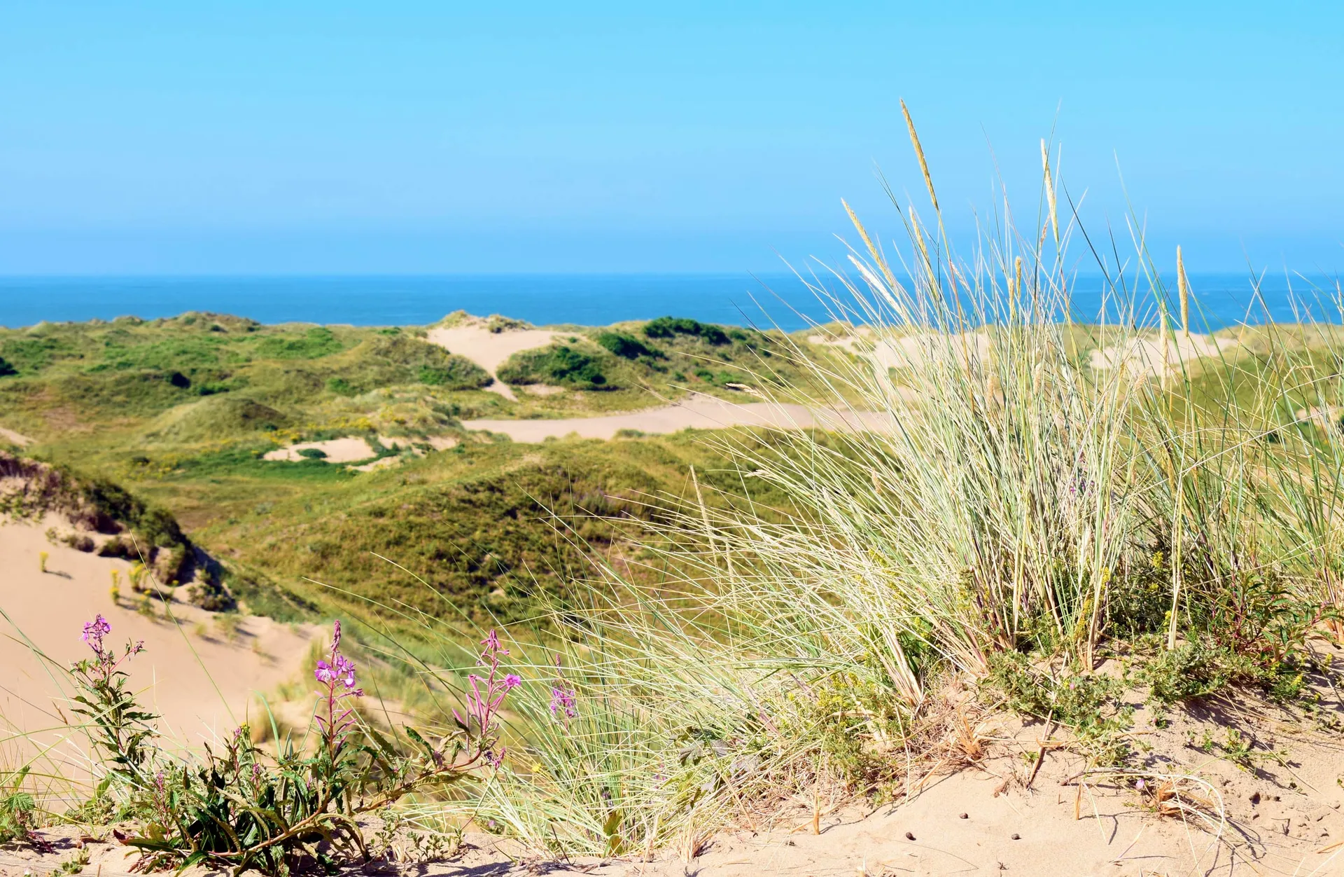 Merthyr Mawr beach, just minutes from the estate cottages