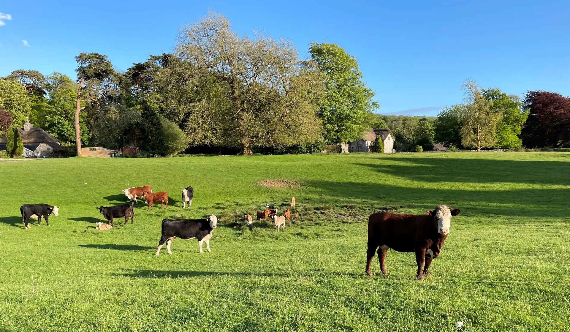Merthyr Mawr Estate parkland