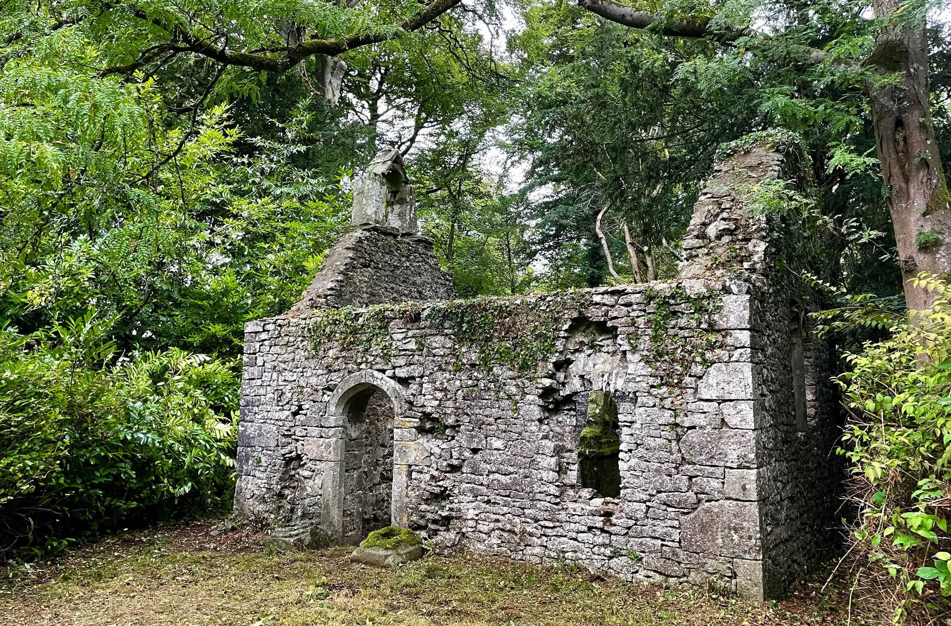 Castle Ruins & History