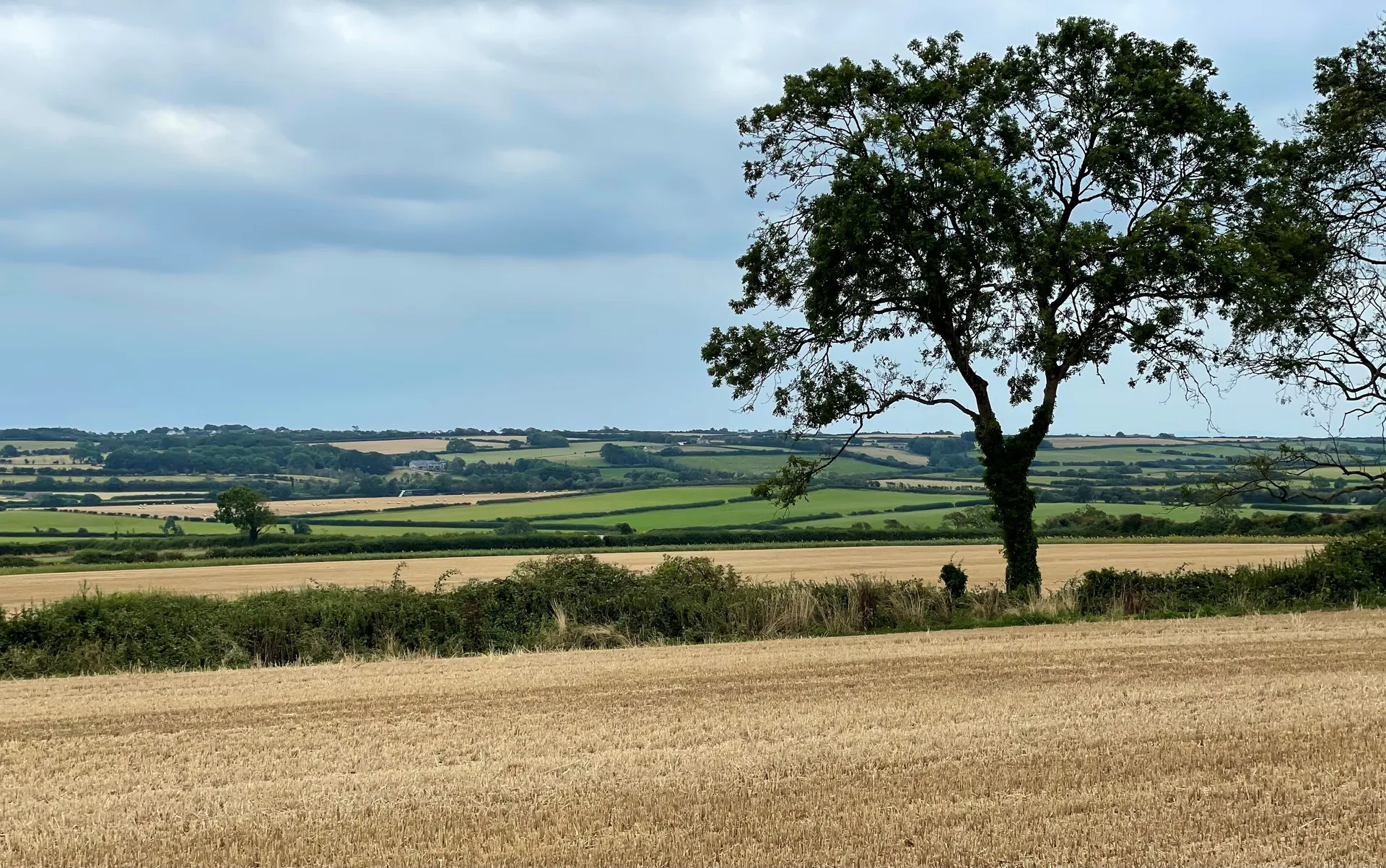 Rural, Farming & Agriculture