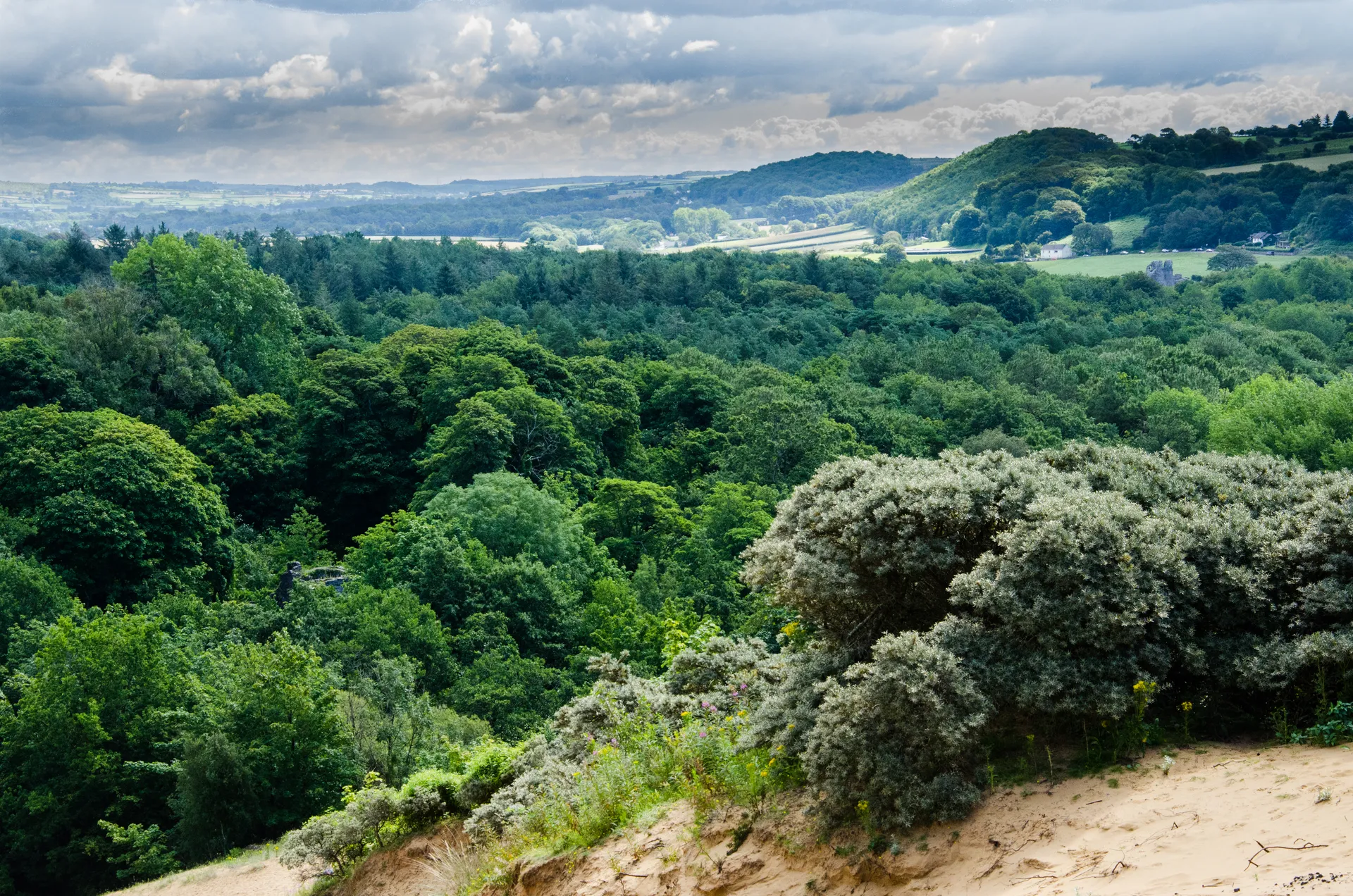 View across Merthyr Mawr Warren towards the woodland