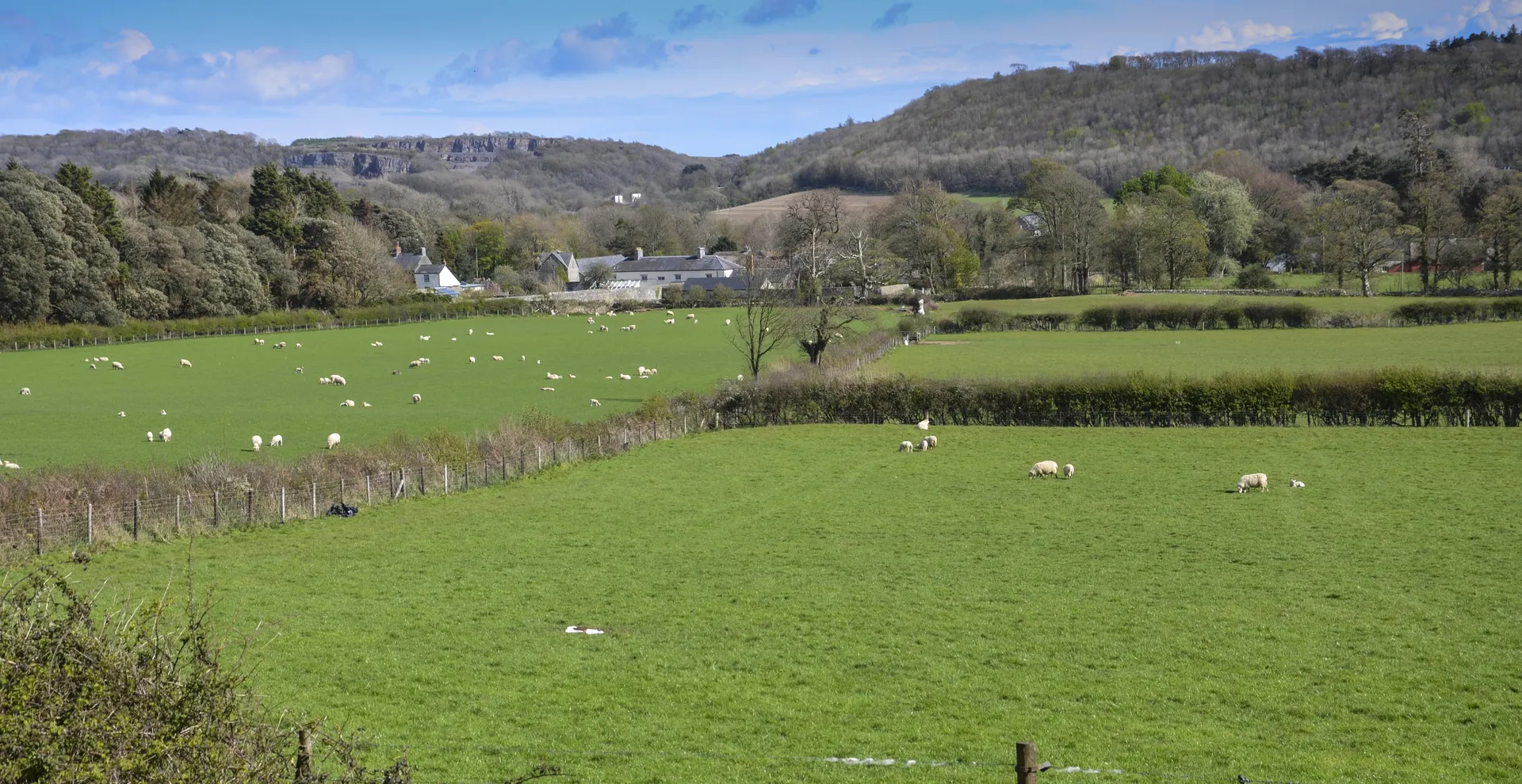 View across estate farmland towards buildings