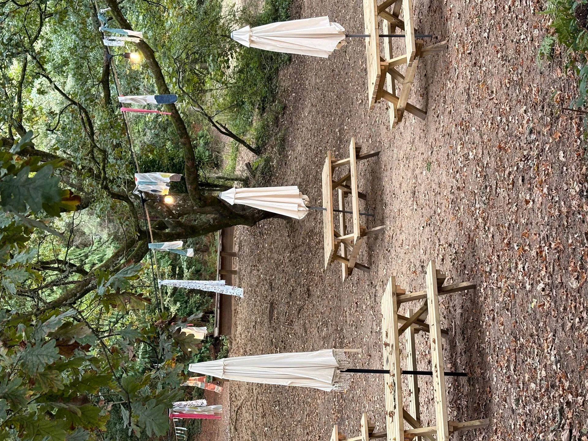 Cold water plunge pool in nature