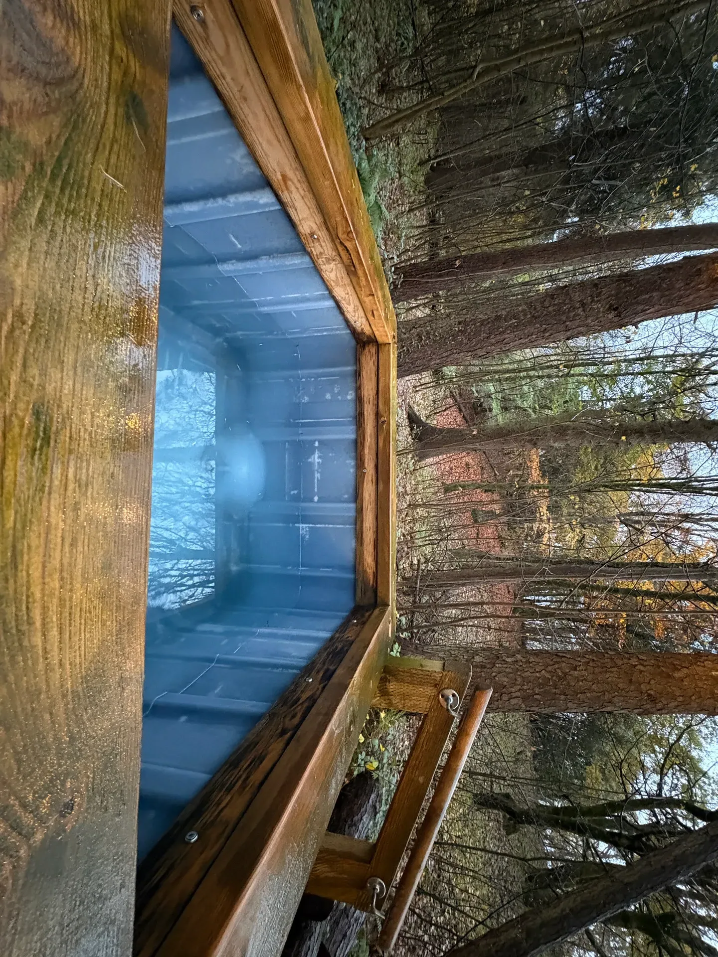 Woodland setting of the outdoor sauna, Merthyr Mawr