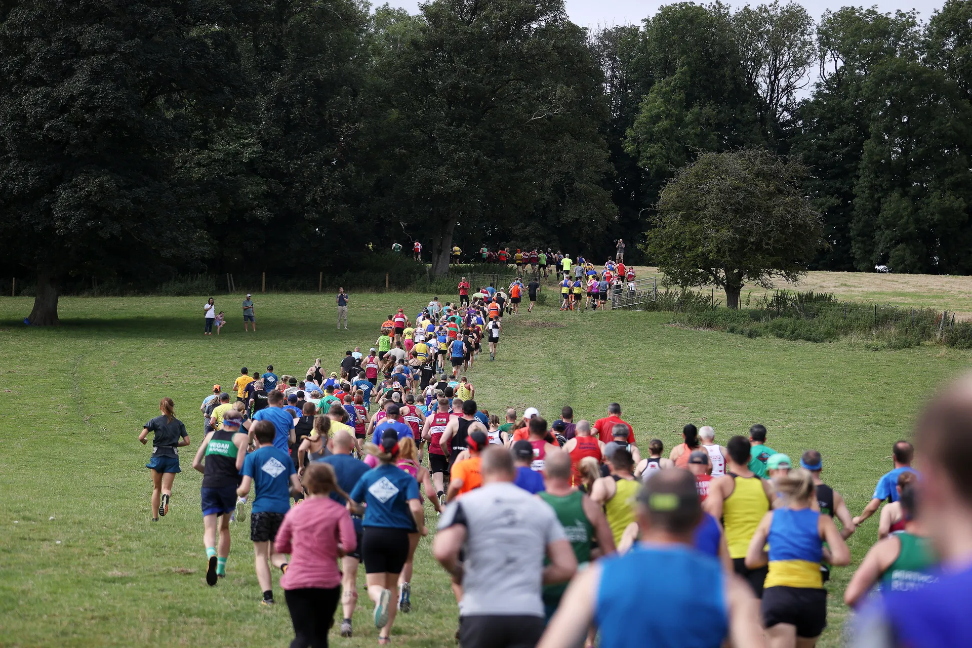 The Pudding Run festive trail event