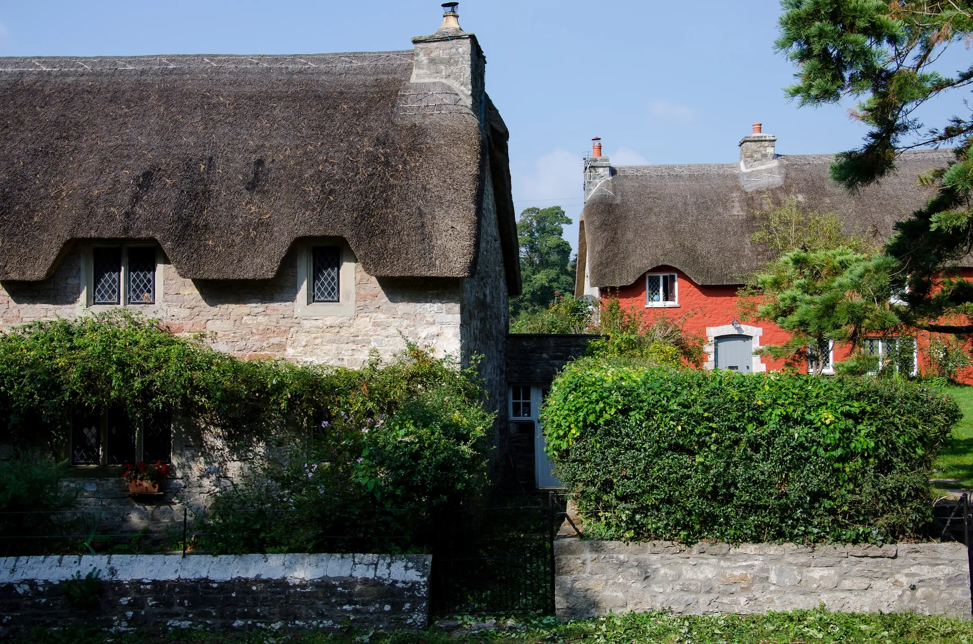 Discover The Village