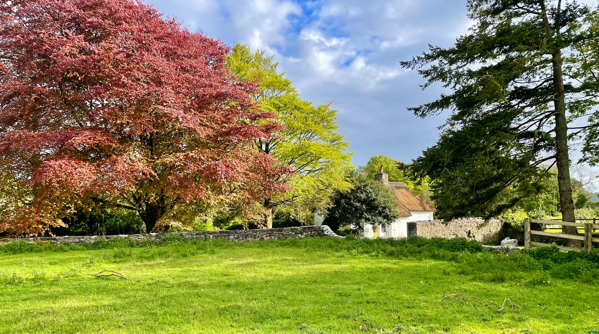 Holly Cottage in Merthyr Mawr village