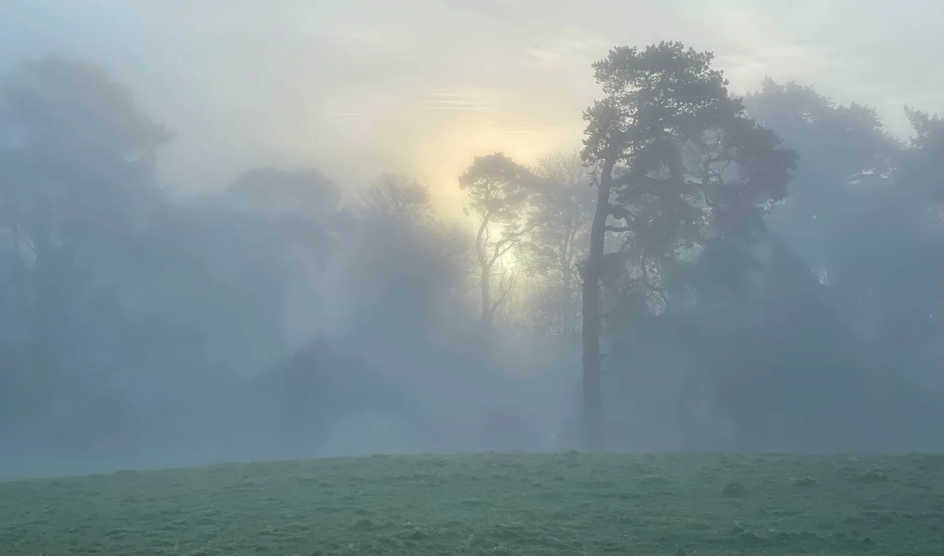 Misty woodland at Candleston